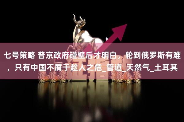 七号策略 普京政府碰壁后才明白，轮到俄罗斯有难，只有中国不屑于趁人之危_管道_天然气_土耳其